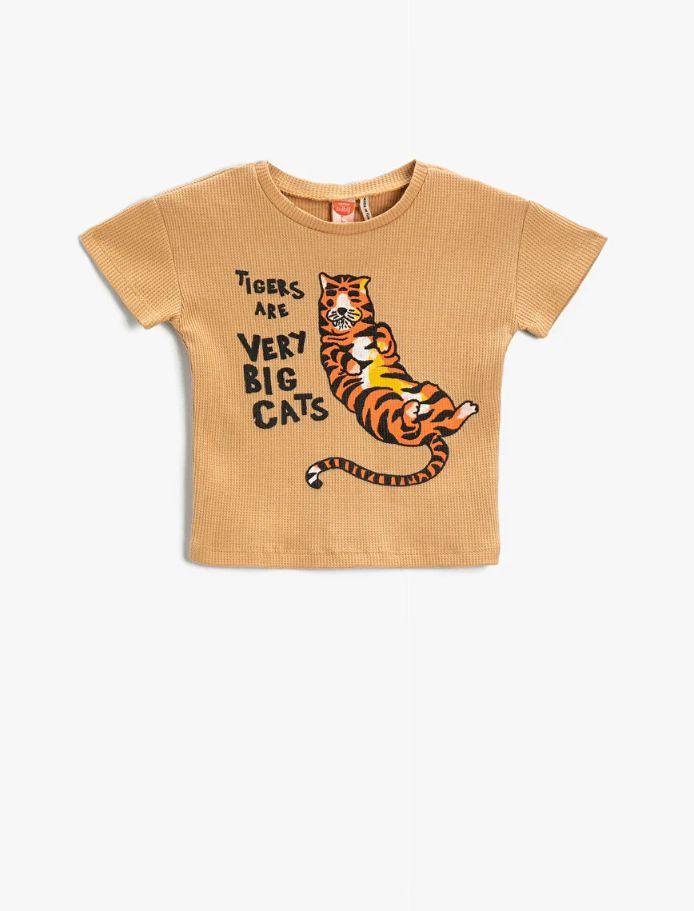 T-Shirt (24-36)